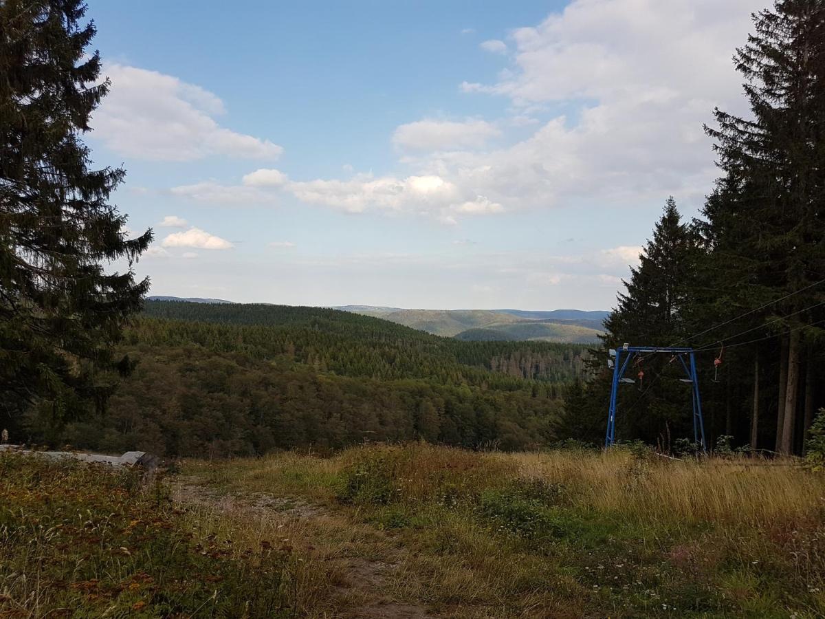 Ferienwohnungen Harz - Wieda Екстер'єр фото